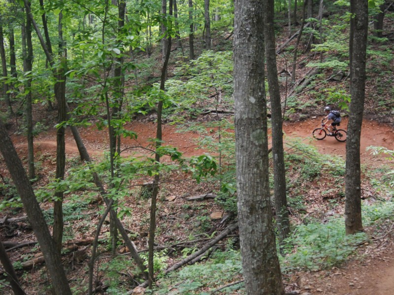 Bent Creek Experimental Forest