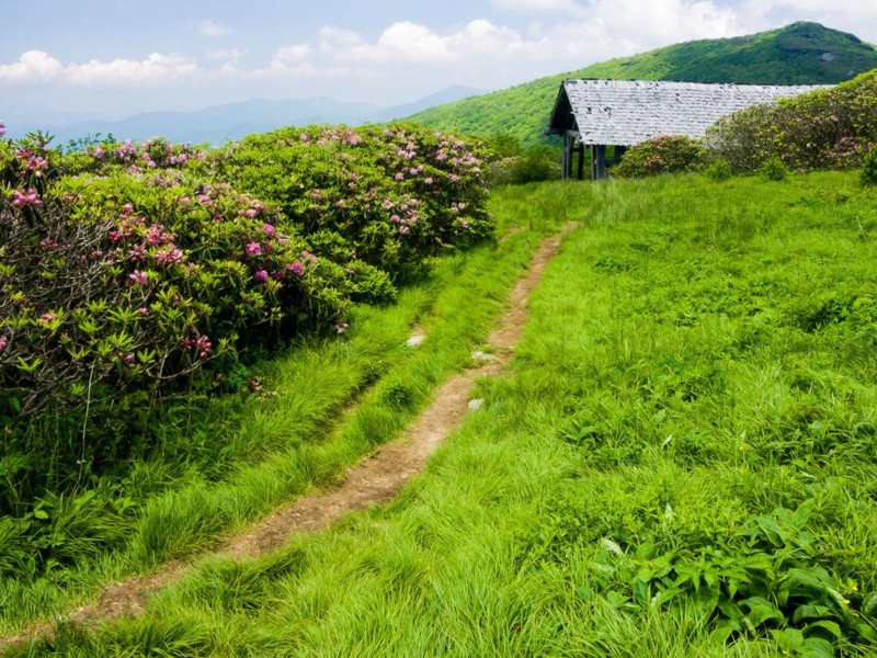 Craggy Gardens