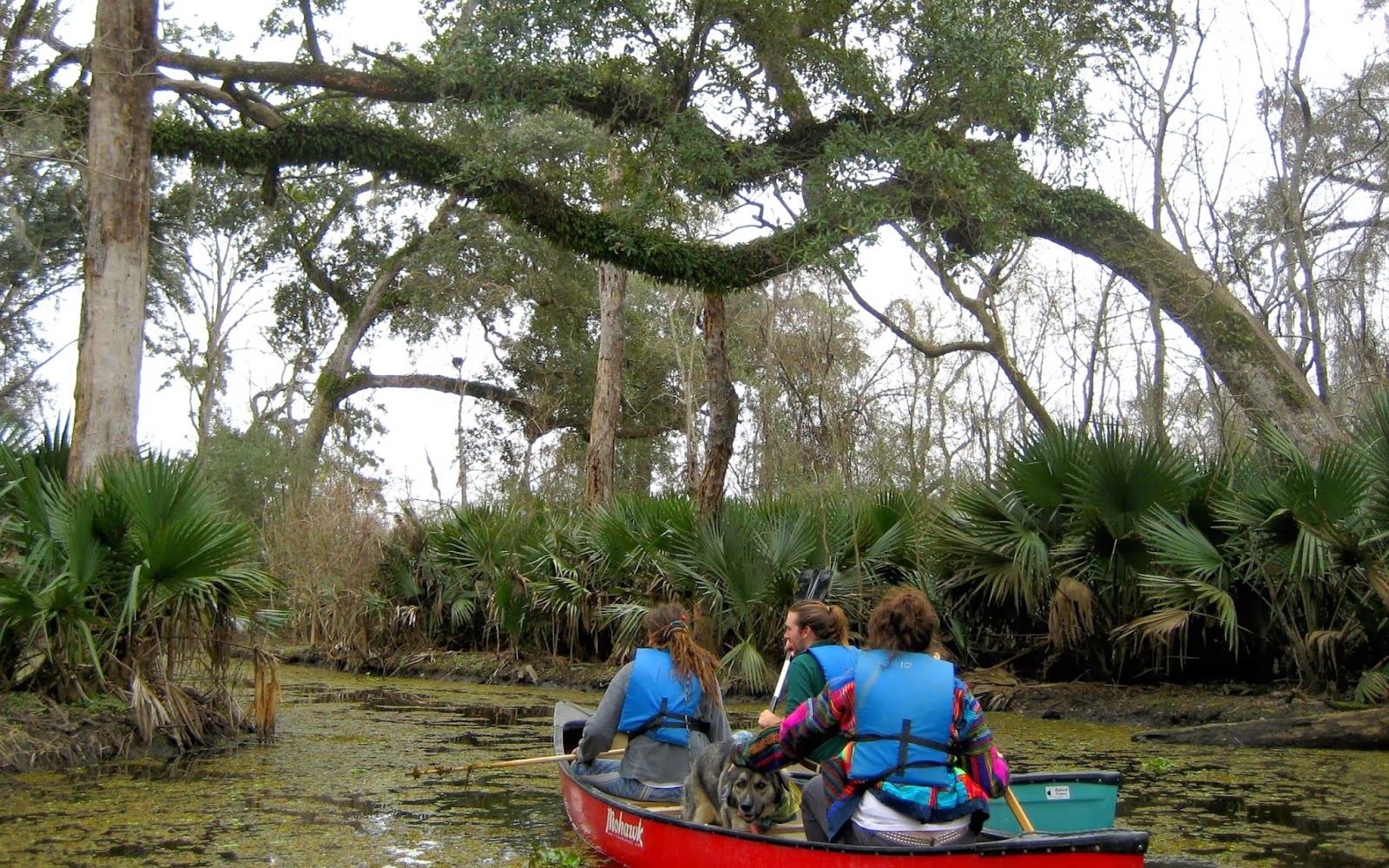 Palmetto Islands County Park