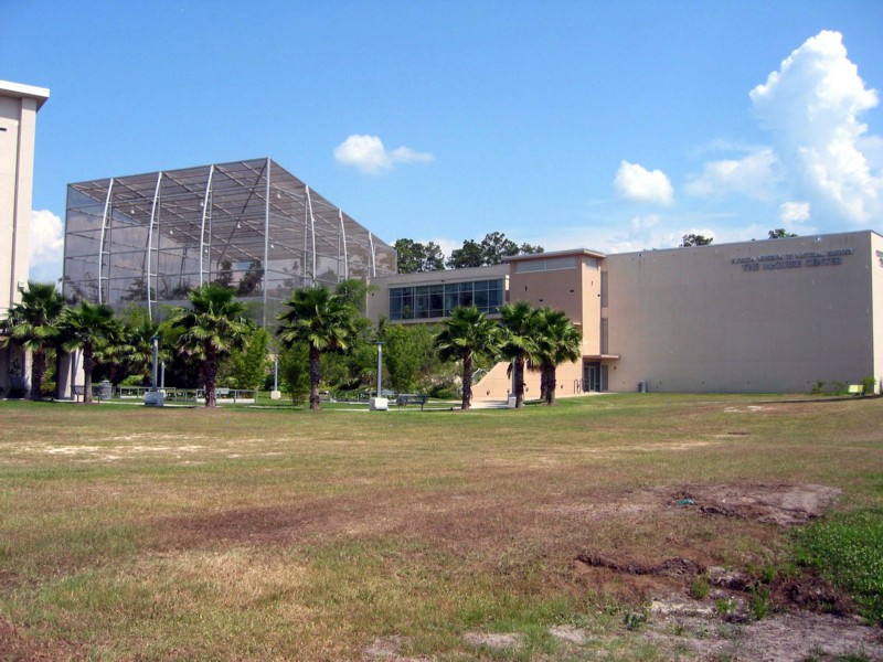 Safety Harbor Museum