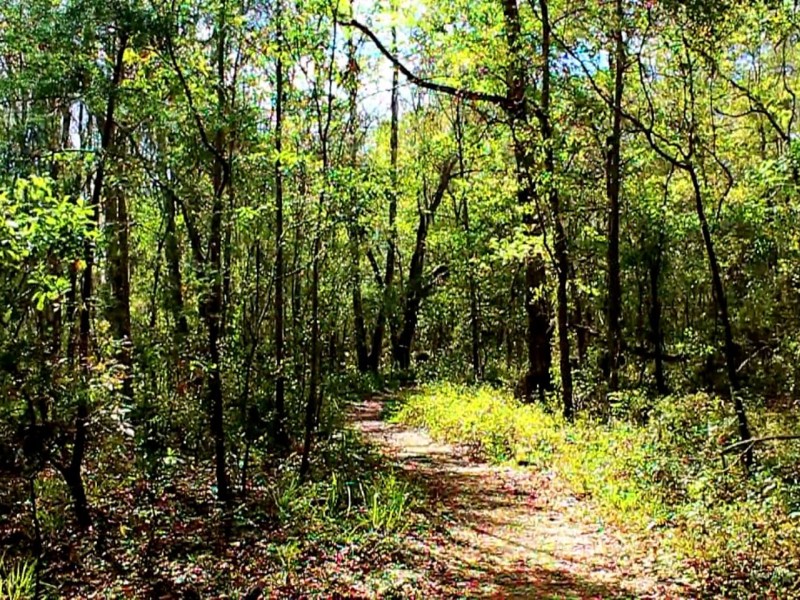 McKay Bay Nature Park