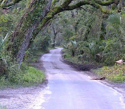 Jacksonville parks