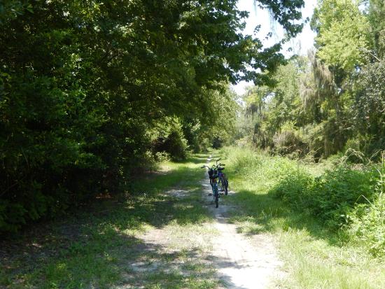 Egans Creek Greenway