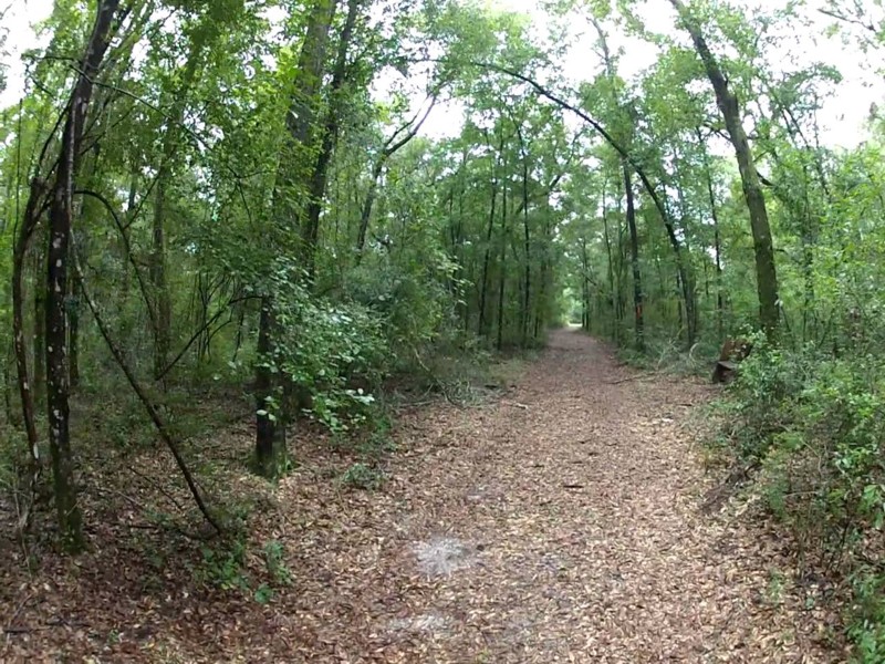 Jennings State Forest