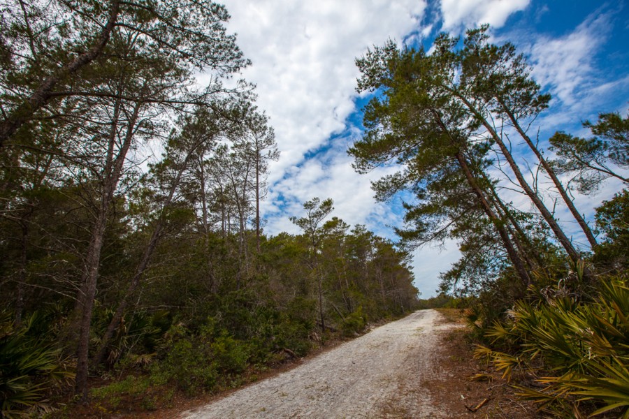 Moses Creek Conservation Area