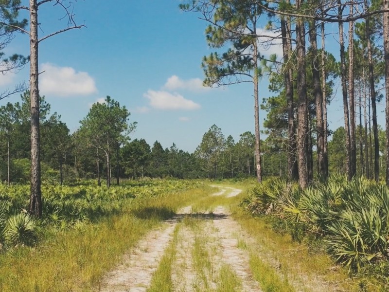 Pumpkin Hill Creek Preserve State Park