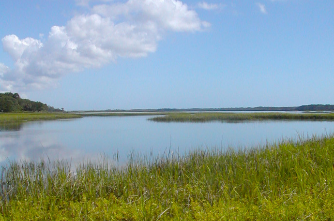 Stokes Landing Conservation area