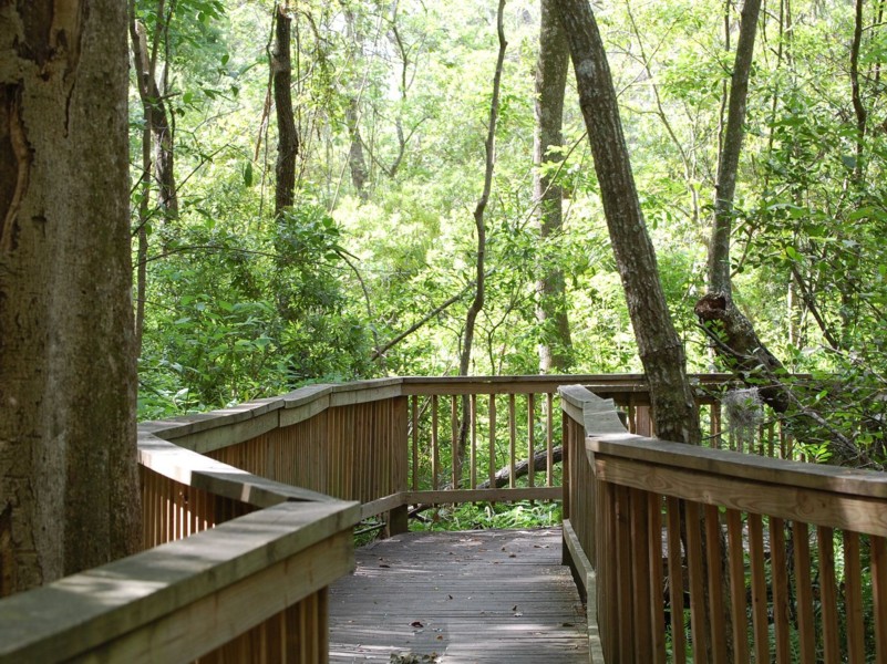 Tree Hill Nature Center