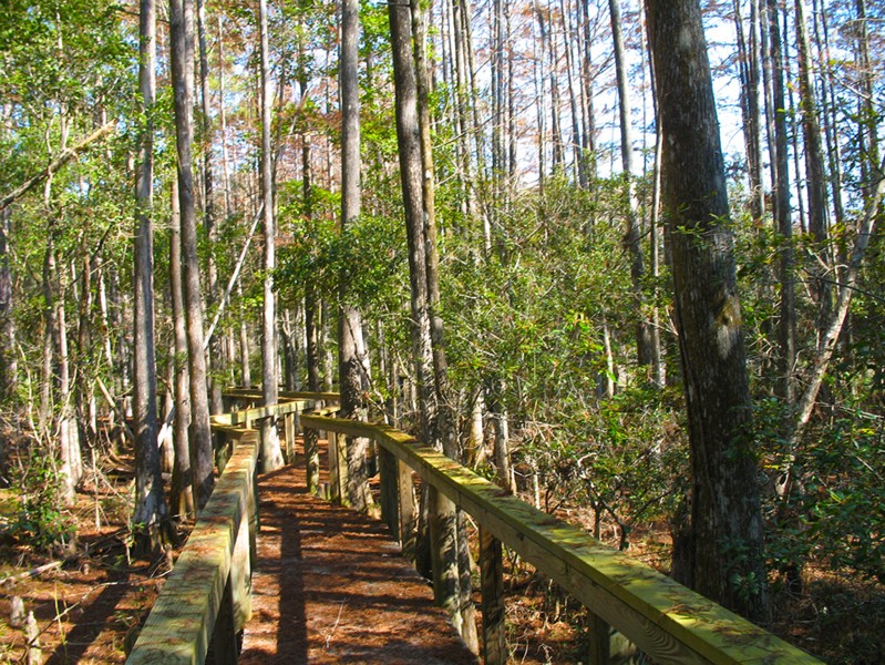 Castellow Hammock Preserve & Nature Center