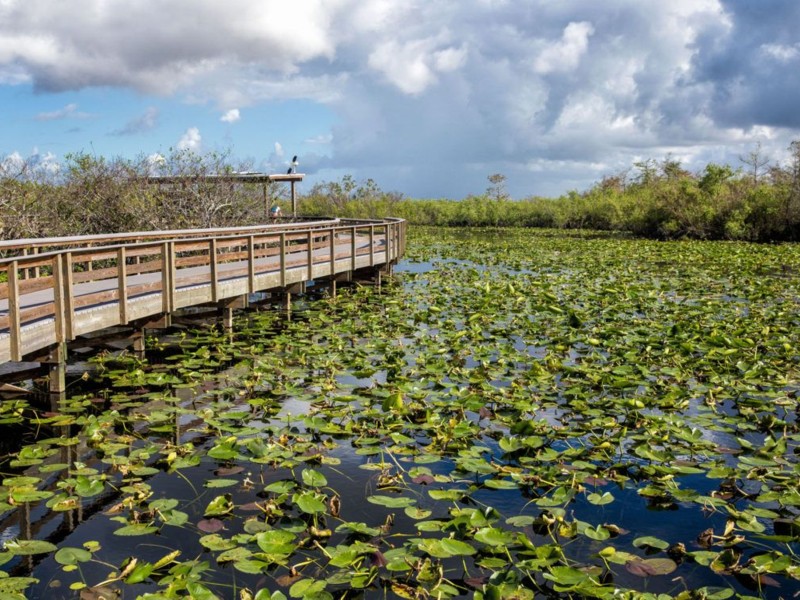 Everglades National Park