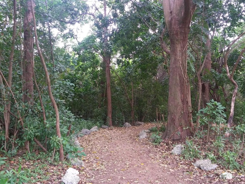 FIU Nature Preserve