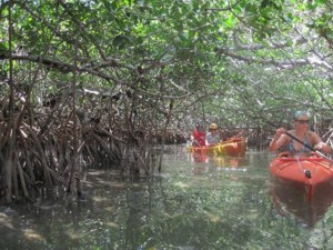 Kayak Eco-Tour through JW Marriott @ Grande Lakes