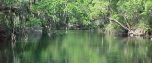 Blue Springs State Park