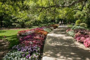 Harry P. Leu Gardens