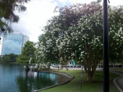 Lake Eola