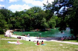 Wekiwa Springs State Park