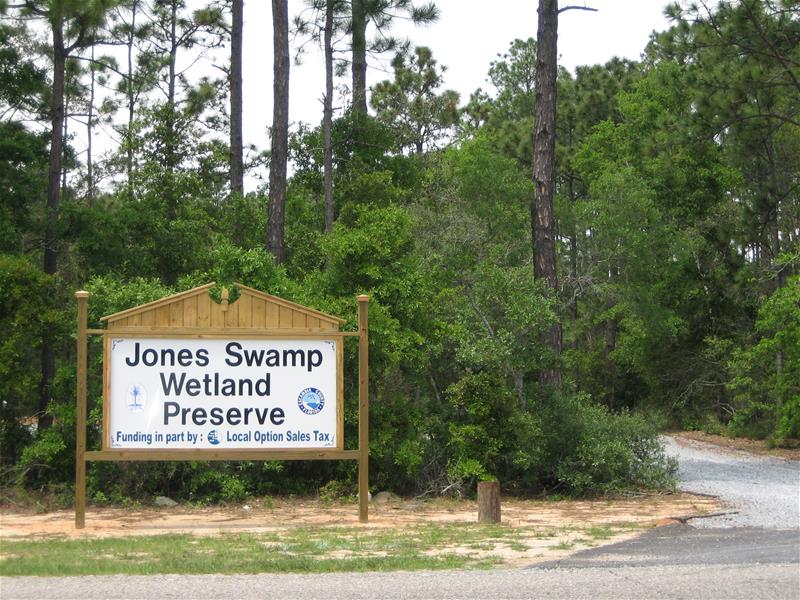 Jones Swamp Wetland Preserve and Nature Trail