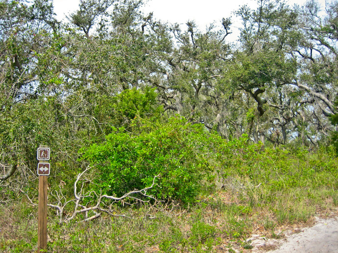 Naval Live Oaks Nature Preserve