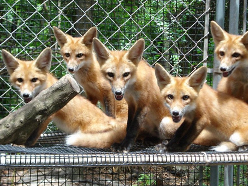 Wildlife Sanctuary of Northwest Florida