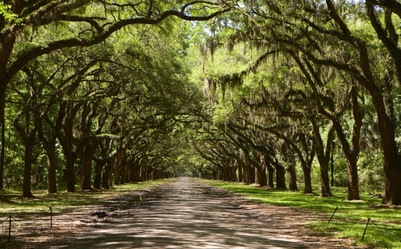 Wormsloe Historic Site