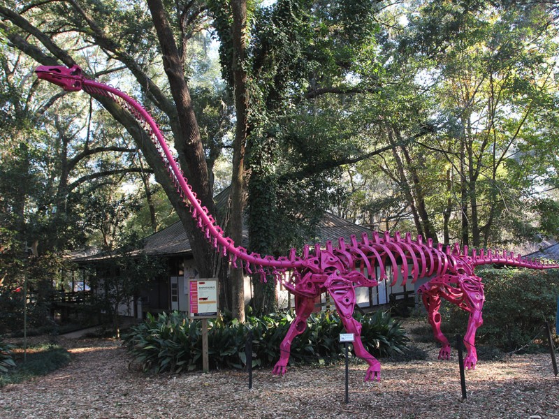 Tallahassee Museum