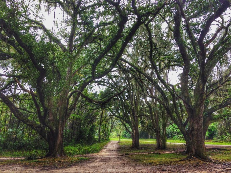 Apalachee Regional Park