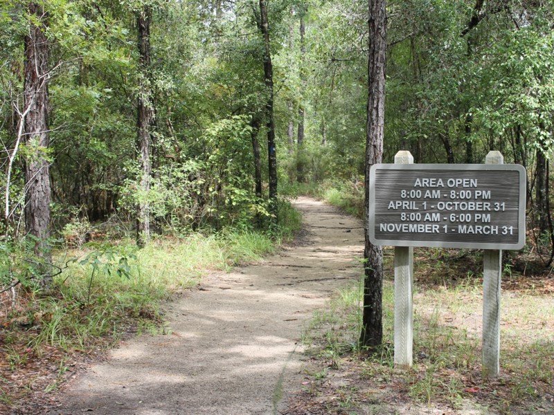 Leon Sinks Geological Area