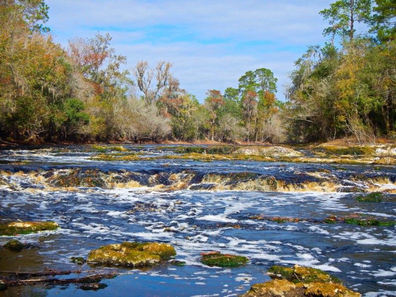 Big Shoals State Park